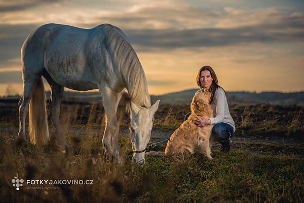 Koně a burácení záblesků