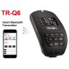 TR Q6