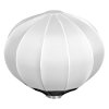 5349 2 outdoor balloon softbox pro 65cm