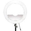 led01 (1)